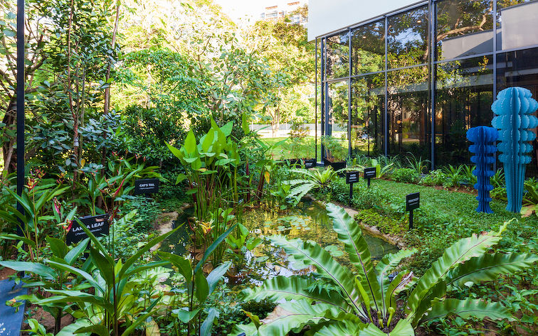 Image of New launch condo in Singapore: Jervois Mansion with experimental herb garden area