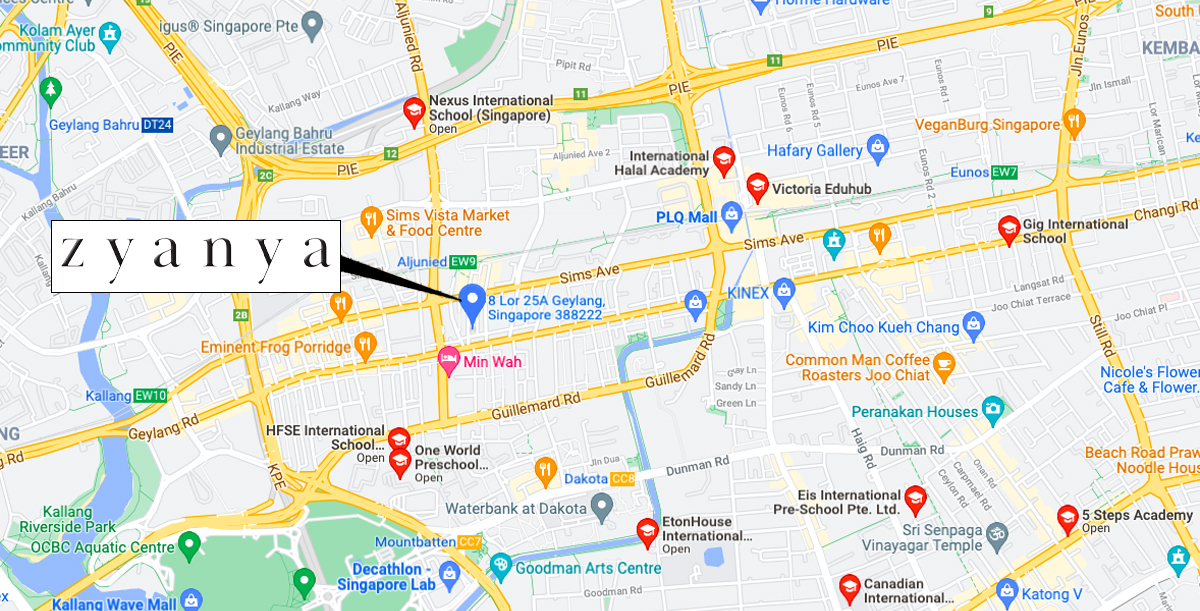 Suggestion of some prominent international schools in the vicinity of Zyanya Condo