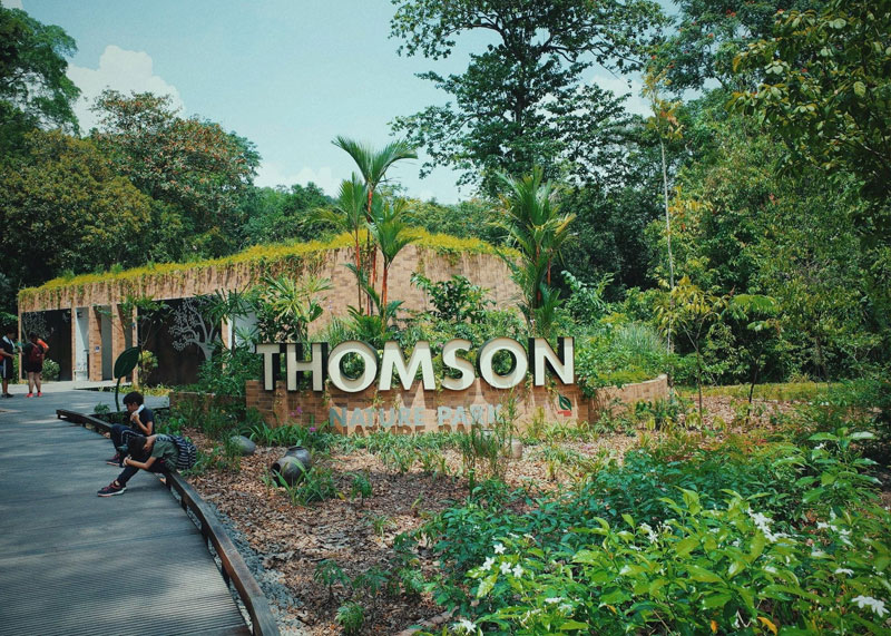 New launch condo projects nearby Thomson Nature Park